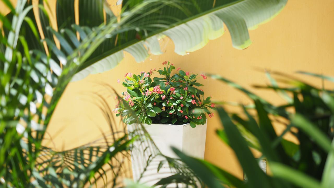 Hotel Casa Cytia Cartagena Eksteriør billede